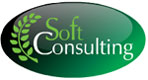 Soft Consulting Kft.